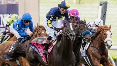 Suspendido y multado jockey ganador en las Breeders'Cup por este motivo