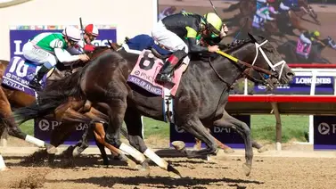 Yegua ganadora de la Breeders’Cup irá por la Saudí Cup en el 2025 Yegua ganadora de la Breeders’Cup irá por la Saudí Cup en el 2025