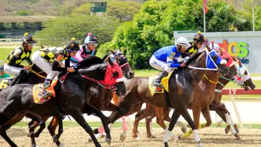 Reunión 43 presenta programación con tres pruebas clasificatorias para la Serie Hípica del Caribe Reunión 43 presenta programación con tres pruebas clasificatorias para la Serie Hípica del Caribe