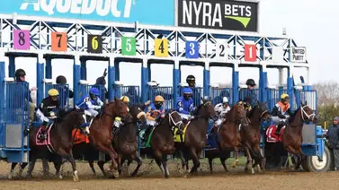 El meeting de Aqueduct tiene tres Stakes el sábado en Nueva York El meeting de Aqueduct tiene tres Stakes el sábado en Nueva York