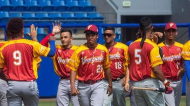 LVBP: Estos son los jugadores ausentes de sus equipos para representar a Venezuela en el Premier 12