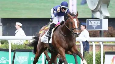 Las primeras montas de Javier Castellano en el meeting de Aqueduct Las primeras montas de Javier Castellano en el meeting de Aqueduct