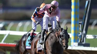 Los 4 candidatos al campeonato de 3 años y Caballo del Año en Estados Unidos