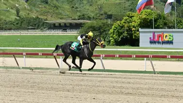 Brown Sugar tiene todo listo para imponerse en la Condicional Especial de este domingo en La Rinconada Brown Sugar tiene todo listo para imponerse en la Condicional Especial de este domingo en La Rinconada