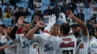 LVBP: Leones del Caracas con matices positivas y negativas en el primer tercio del campeonato (+Análisis) LVBP: Leones del Caracas con matices positivas y negativas en el primer tercio del campeonato (+Análisis)