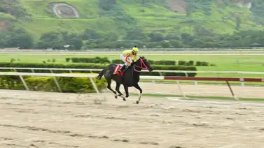 Yegua que viene de ganar y puede repetir reaparece lista luego de 70 días sin correr para la R43 Yegua que viene de ganar y puede repetir reaparece lista luego de 70 días sin correr para la R43