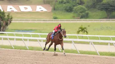 Caballo que siempre han tenido por bueno reaparece luego de 357 días sin correr en La Rinconada Caballo que siempre han tenido por bueno reaparece luego de 357 días sin correr en La Rinconada
