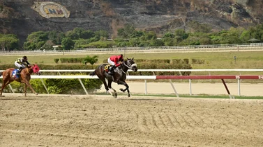 Yegua que en su momento se batió en duelo con Bella Catira reaparece para la reunión 43 luego de 238 sin correr 