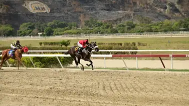 Yegua que en su momento se batió en duelo con Bella Catira reaparece para la reunión 43 luego de 238 sin correr Yegua que en su momento se batió en duelo con Bella Catira reaparece para la reunión 43 luego de 238 sin correr