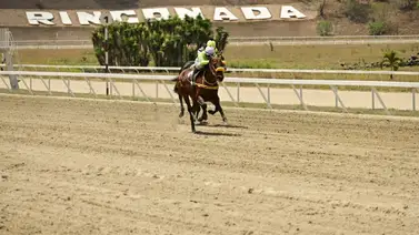 Nieta de un ganador del Kentucky Derby puede sorprender este domingo en La Rinconada Nieta de un ganador del Kentucky Derby puede sorprender este domingo en La Rinconada