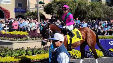 Irad Ortiz Jr. comienza el meeting de Aqueduct con 20 montas a realizar Irad Ortiz Jr. comienza el meeting de Aqueduct con 20 montas a realizar