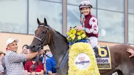 Conoce cuanto costó en subasta la potra Thorpedo Anna campeona de 3 años