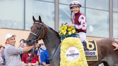 Conoce cuanto costó en subasta la potra Thorpedo Anna campeona de 3 años Conoce cuanto costó en subasta la potra Thorpedo Anna campeona de 3 años