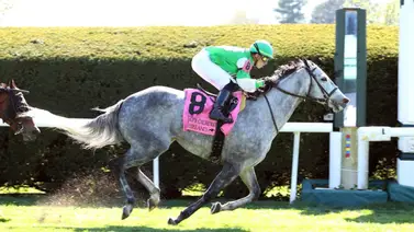 Vendida ganadora clásica de grama por $2.400.000 en las subastas de Keeneland Vendida ganadora clásica de grama por $2.400.000 en las subastas de Keeneland