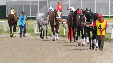 Conoce el primer retirado del 5y6 de la reunión 43 en La Rinconada Conoce el primer retirado del 5y6 de la reunión 43 en La Rinconada