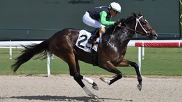 Emisael Jaramillo, Leonel Reyes y Victor Barboza Jr. van por stakes en Louisiana