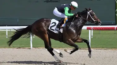 Emisael Jaramillo, Leonel Reyes y Victor Barboza Jr. van por stakes en Louisiana Emisael Jaramillo, Leonel Reyes y Victor Barboza Jr. van por stakes en Louisiana