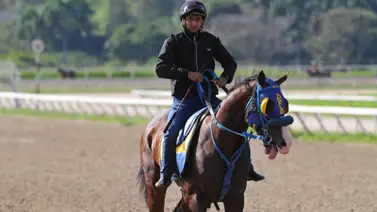 Maykor Ibarra espera abrir con victoria el 5y6 dominical de la reunión 43 (+Video) Maykor Ibarra espera abrir con victoria el 5y6 dominical de la reunión 43 (+Video)