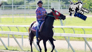 Yamper González quiere volver al paddock de ganadores con esta yegua en la R43 de La Rinconada