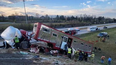 Propietarios de caballos introducen demanda a empresa de transporte por accidente