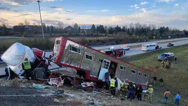Propietarios de caballos introducen demanda a empresa de transporte por accidente Propietarios de caballos introducen demanda a empresa de transporte por accidente