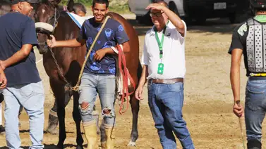 Esta es la yegua que le gusta a José Gregorio Rodríguez para el 5y6 dominical Esta es la yegua que le gusta a José Gregorio Rodríguez para el 5y6 dominical