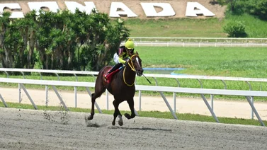 Como ajustó este ejemplar quedo listo para alcanzar su tercer triunfo consecutivo en la R43