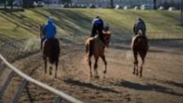 Jockey venezolano Frank Reyes es el más destacado del miércoles de este hipódromo