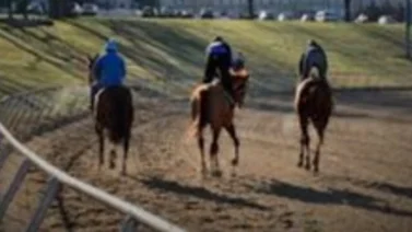 Jockey venezolano Frank Reyes es el más destacado del miércoles de este hipódromo