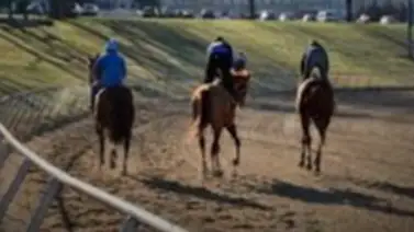 Jockey venezolano Frank Reyes es el más destacado del miércoles de este hipódromo Jockey venezolano Frank Reyes es el más destacado del miércoles de este hipódromo