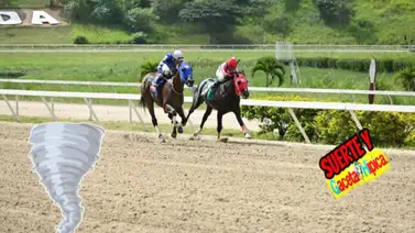 De la manera como ajustó este potro puede ser un ciclón en el 5y6 dominical De la manera como ajustó este potro puede ser un ciclón en el 5y6 dominical