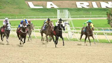 En carrera que se complica a última hora por la cantidad de datos, así ajusta este ejemplar que puede salir victorioso en la R43 En carrera que se complica a última hora por la cantidad de datos, así ajusta este ejemplar que puede salir victorioso en la R43