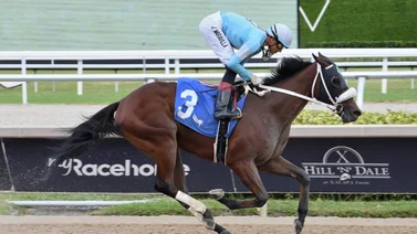 Emisael Jaramillo por el liderato del meeting en Gulfstream Park con estas montas