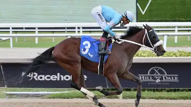 Emisael Jaramillo por el liderato del meeting en Gulfstream Park con estas montas Emisael Jaramillo por el liderato del meeting en Gulfstream Park con estas montas