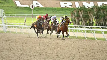 Yegua que gusta fija en la quinta válida ajusta cómoda Yegua que gusta fija en la quinta válida ajusta cómoda