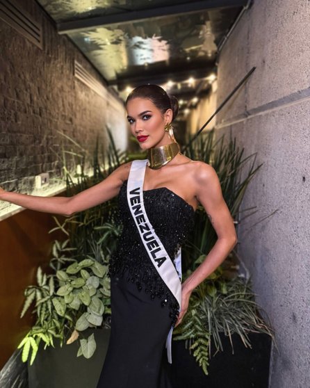 El vestido que utilizó Ileana Márquez Pedroza para deslumbrar en Miss Universo