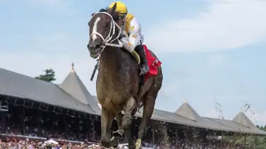 Javier Castellano es el primer venezolano en ganar en el meeting de Aqueduct Javier Castellano es el primer venezolano en ganar en el meeting de Aqueduct