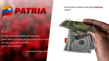 Plataforma Patria