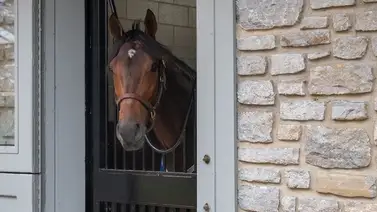 Propietarios definen el destino de Sierra Leone para el 2025 Propietarios definen el destino de Sierra Leone para el 2025