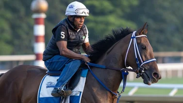 Esta fue la última yegua en ganar el premio de Caballo del Año en Estados Unidos
