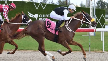 Gaceta Hípica Internacional acierta la primera carrera del viernes en Gulfstream Park