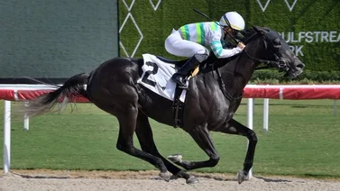 Gaceta Hípica Internacional acierta el Daily Double que paga más de $170 en Gulfstream Park