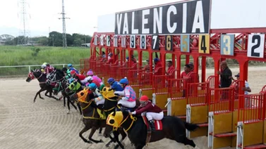Carreras para ganar este fin de semana en Valencia