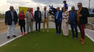 Forza Di Oro galopa la Copa José Antonio Gubaira en Valencia Forza Di Oro galopa la Copa José Antonio Gubaira en Valencia