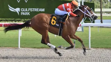 Yunta Venezolana sorprende en la primera de la tarde en el hipódromo de Gulfstream Park Yunta Venezolana sorprende en la primera de la tarde en el hipódromo de Gulfstream Park