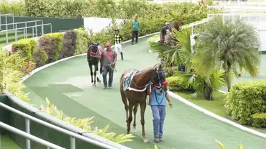 Comisarios abren averiguación administrativa a estos profesionales en La Rinconada Comisarios abren averiguación administrativa a estos profesionales en La Rinconada