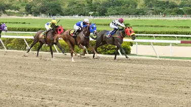 Son 4 los jockeys que fueron multados por esta razón en La Rinconada Son 4 los jockeys que fueron multados por esta razón en La Rinconada