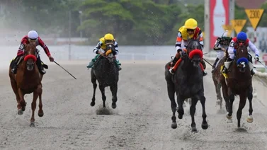 Sudamérica tiene un nuevo triple coronado del hipismo  