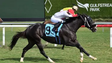 Emisael Jaramillo gana dos en yunta con entrenadores venezolanos Emisael Jaramillo gana dos en yunta con entrenadores venezolanos