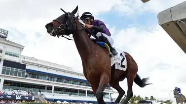 Leonel Reyes Ramos se coloca a tiro de las 100 victorias en el 2024 Leonel Reyes Ramos se coloca a tiro de las 100 victorias en el 2024